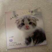 ヒメ日記 2026/02/28 23:53 投稿 あゆ 出会い系人妻ネットワーク錦糸町～小岩編