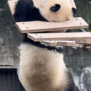 ヒメ日記 2025/12/30 10:03 投稿 高瀬 モアグループ所沢人妻城