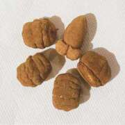 ヒメ日記 2025/11/15 17:46 投稿 虹川みいひ LIP×LIP滋賀