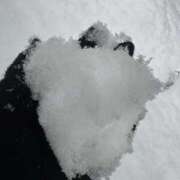 ヒメ日記 2026/02/08 20:27 投稿 ひびき Grace東京