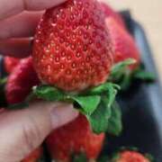 ヒメ日記 2025/12/13 14:00 投稿 花沢美和 こあくまな熟女たち岩国店(KOAKUMAグループ)