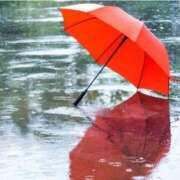 ヒメ日記 2026/02/25 10:38 投稿 花沢美和 こあくまな熟女たち岩国店(KOAKUMAグループ)