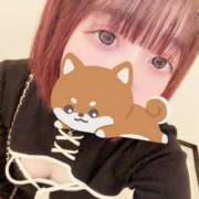 ヒメ日記 2026/02/16 14:45 投稿 ののか バイオレンス