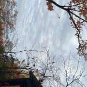 ヒメ日記 2025/11/23 12:20 投稿 すずは 金瓶梅(きんぺいぱい)(雄琴)