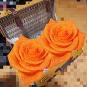 ヒメ日記 2025/10/30 18:43 投稿 さつき 奈良市ちゃんこ