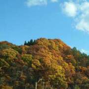 ヒメ日記 2025/11/07 14:42 投稿 さつき 奈良市ちゃんこ