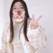 ヒメ日記 2025/11/19 11:15 投稿 さつき 奈良市ちゃんこ