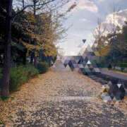 ヒメ日記 2025/11/21 17:21 投稿 さつき 奈良市ちゃんこ