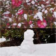 ヒメ日記 2026/02/08 15:00 投稿 さつき 奈良市ちゃんこ