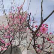 ヒメ日記 2026/02/23 13:50 投稿 さつき 奈良市ちゃんこ