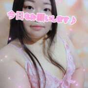 ヒメ日記 2026/02/27 11:25 投稿 さつき 奈良市ちゃんこ