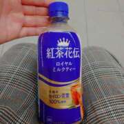 ヒメ日記 2026/03/03 11:11 投稿 さつき 奈良市ちゃんこ