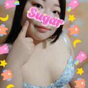 ヒメ日記 2026/03/28 17:47 投稿 さつき 奈良市ちゃんこ