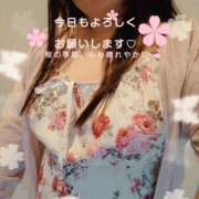 ヒメ日記 2026/04/02 11:37 投稿 さつき 奈良市ちゃんこ