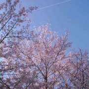 ヒメ日記 2026/04/03 21:21 投稿 さつき 奈良市ちゃんこ