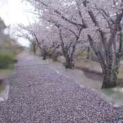 ヒメ日記 2026/04/05 18:58 投稿 さつき 奈良市ちゃんこ