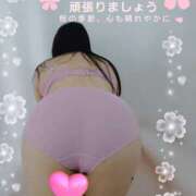 ヒメ日記 2026/04/08 10:06 投稿 さつき 奈良市ちゃんこ