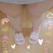 ヒメ日記 2026/04/09 12:58 投稿 さつき 奈良市ちゃんこ