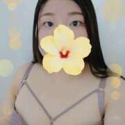 ヒメ日記 2026/04/11 16:58 投稿 さつき 奈良市ちゃんこ