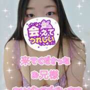 ヒメ日記 2026/04/20 14:31 投稿 さつき 奈良市ちゃんこ