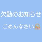 ヒメ日記 2026/04/30 07:41 投稿 さつき 奈良市ちゃんこ