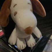 ヒメ日記 2025/10/11 01:06 投稿 るみね/AF☆顏有動画撮影可！ 10代、20代専門ハレンチ倶楽部　姫路店