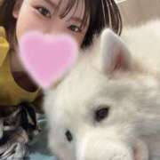 ヒメ日記 2025/10/18 13:18 投稿 カズハ PLATINUM