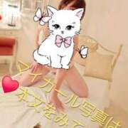 ヒメ日記 2025/12/30 09:44 投稿 ひとみ 沖縄ちゃんこ那覇店