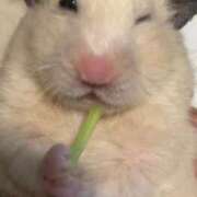 ヒメ日記 2025/10/31 10:52 投稿 みやび 熟女家 東大阪店（布施・長田）