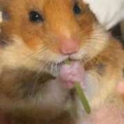 ヒメ日記 2026/01/19 11:56 投稿 みやび 熟女家 東大阪店（布施・長田）