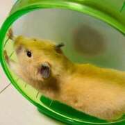 みやび 出勤してます♡ 熟女家 東大阪店（布施・長田）