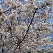 ヒメ日記 2026/04/04 11:55 投稿 みやび 熟女家 東大阪店（布施・長田）