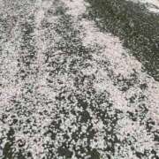 みやび 出勤しましたー🌸 熟女家 東大阪店（布施・長田）