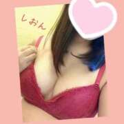 ヒメ日記 2025/11/04 15:05 投稿 しおん 丸の内