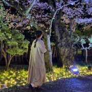 ヒメ日記 2025/12/11 11:16 投稿 あん 東京人妻セレブリティ（ユメオト）