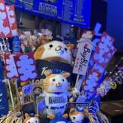 ヒメ日記 2025/12/21 13:36 投稿 あん 東京人妻セレブリティ（ユメオト）