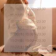 ヒメ日記 2025/11/16 14:01 投稿 しの 西東京市小平ちゃんこ