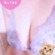 ヒメ日記 2025/11/02 08:59 投稿 小山 鶯谷デッドボール