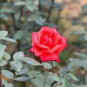 ヒメ日記 2025/12/02 22:19 投稿 小山 鶯谷デッドボール