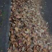 ヒメ日記 2025/12/05 23:39 投稿 小山 鶯谷デッドボール