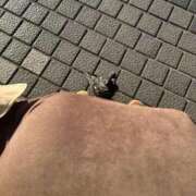 ヒメ日記 2025/12/11 14:49 投稿 小山 鶯谷デッドボール