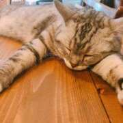 ヒメ日記 2025/12/29 20:09 投稿 小山 鶯谷デッドボール