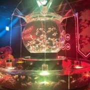 ヒメ日記 2026/01/16 23:49 投稿 小山 鶯谷デッドボール