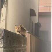 ヒメ日記 2026/01/27 10:46 投稿 小山 鶯谷デッドボール