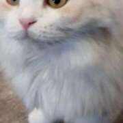 ヒメ日記 2026/02/21 12:59 投稿 小山 鶯谷デッドボール