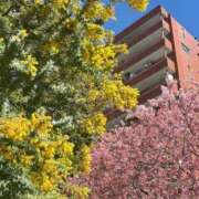 ヒメ日記 2026/03/08 22:19 投稿 小山 鶯谷デッドボール