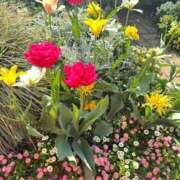 ヒメ日記 2026/04/16 15:29 投稿 小山 鶯谷デッドボール