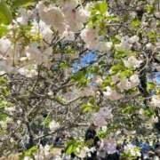 ヒメ日記 2026/04/16 15:59 投稿 小山 鶯谷デッドボール