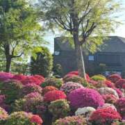 ヒメ日記 2026/04/20 19:39 投稿 小山 鶯谷デッドボール