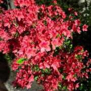 ヒメ日記 2026/04/22 14:09 投稿 小山 鶯谷デッドボール